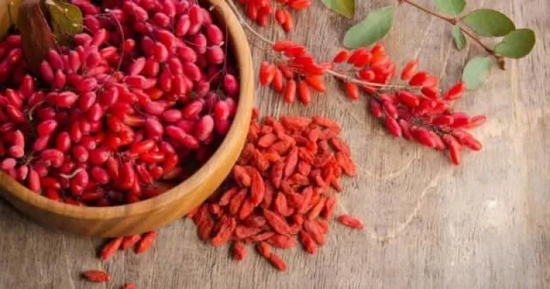 Goji Berry Zayıflama